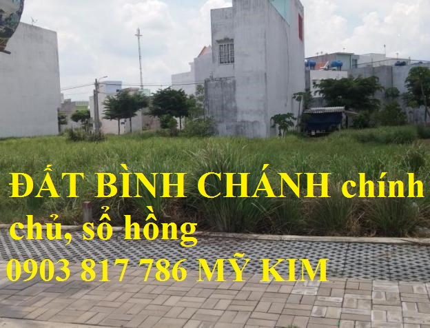 Bán đất bình chánh chính chủ - sổ hồng  500m2 đất thổ cư, đường Nguyễn Hữu Trí,  giá rẻ nhất