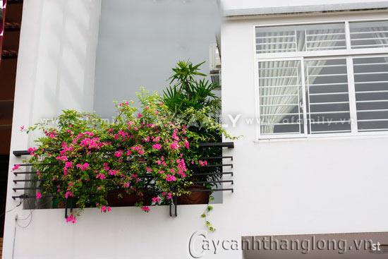 Bán nhà phố giá rẻ mặt tiền đường Trần Quang Khải. DT: 8.1mx21m giá 33 tỷ