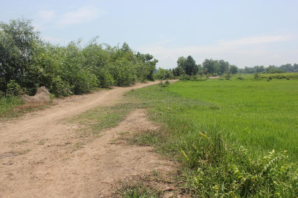 1700m đất vườn Gần Công viên nước Củ Chi, xã Phước Vĩnh An