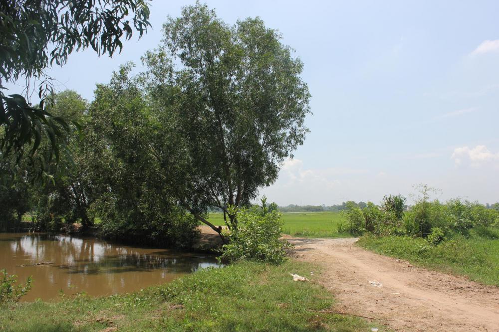1700m đất vườn Gần Công viên nước Củ Chi, xã Phước Vĩnh An