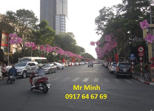 Bán nhà 2 MT Phan Đăng Lưu, P2, Quận Phú Nhuận. DT: 15x50m, NH đều 30m, TDT 900m2