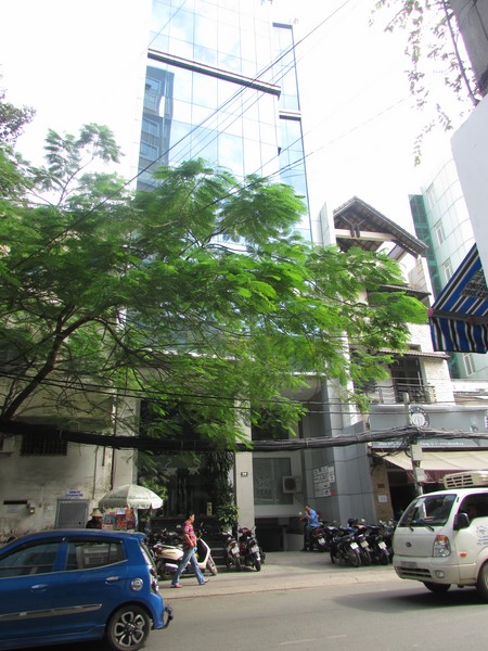 Bán tòa nhà VP 8,5×22m MT Trần Đình Xu, gần ngã tư Trần Hưng Đạo