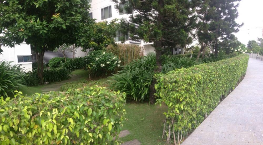 Bán biệt thự 172 m2, sân vườn 84 m2, mặt tiền sông Sài Gòn, Quận 2