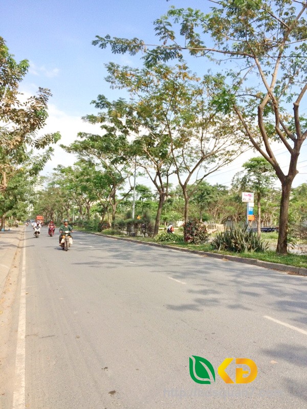 Bán nhà mặt tiền đường Hoàng Quốc Việt, P. Phú Mỹ, Quận 7.