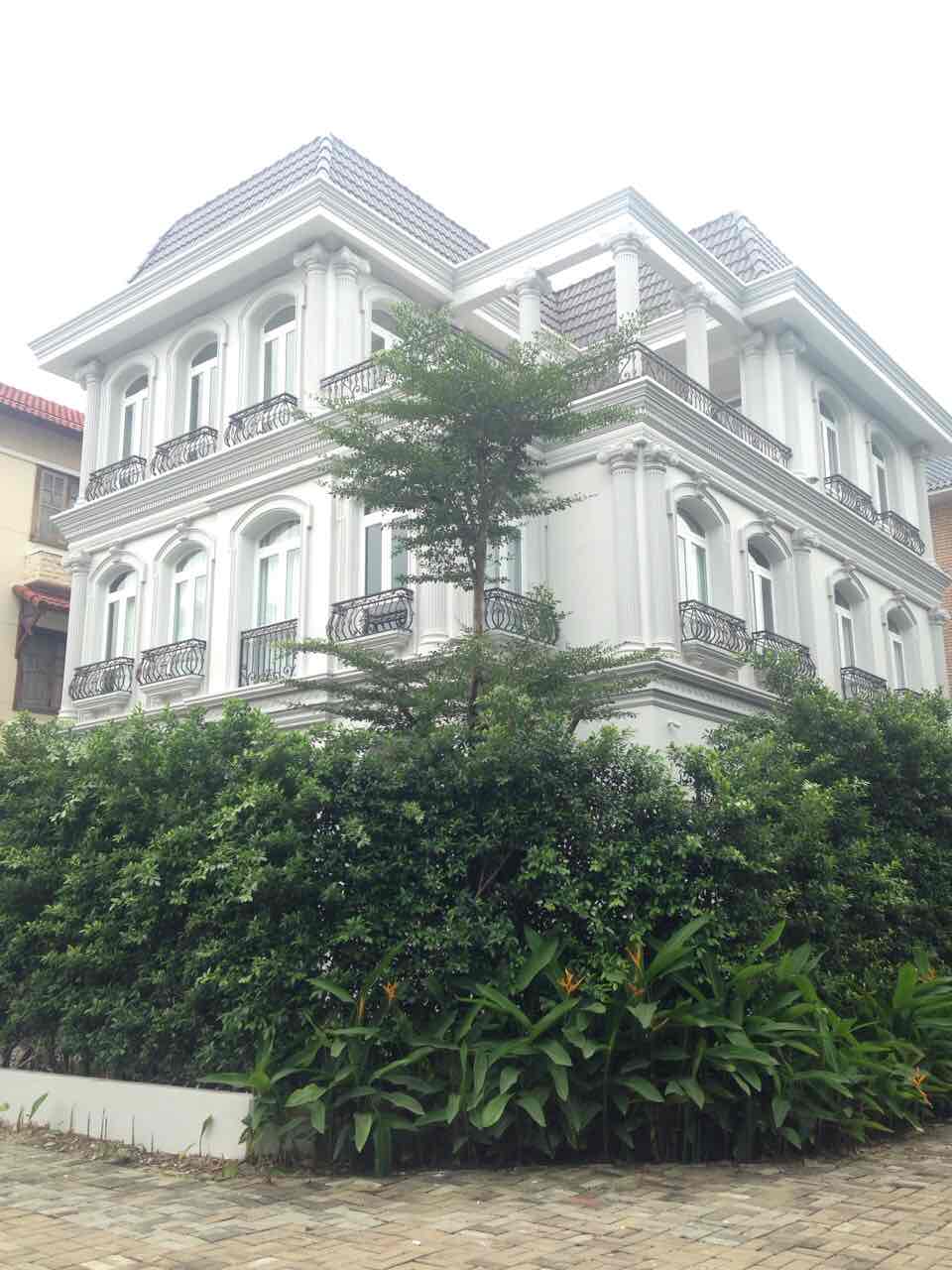 Biệt thự cao cấp Nam Thiên 1, Phú Mỹ Hưng Quận 7, báo trước 5p để xem nhà