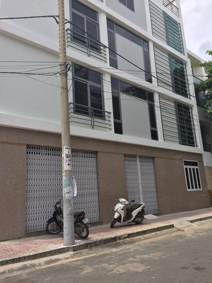 Bán nhà riêng tại phường 10, Quận 6, Hồ Chí Minh diện tích 100m2 giá 9.8 tỷ