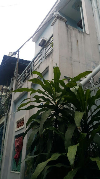 Bán nhà riêng tại phố Nguyễn Tư Giản, Phường 12, Gò Vấp