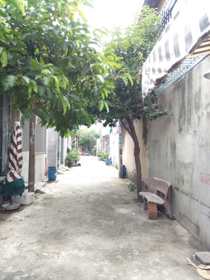 Bán nhà riêng tại Phố Phan Huy Ích, Phường 12, Gò Vấp, Tp.HCM diện tích 50m2  giá 1.45 Tỷ