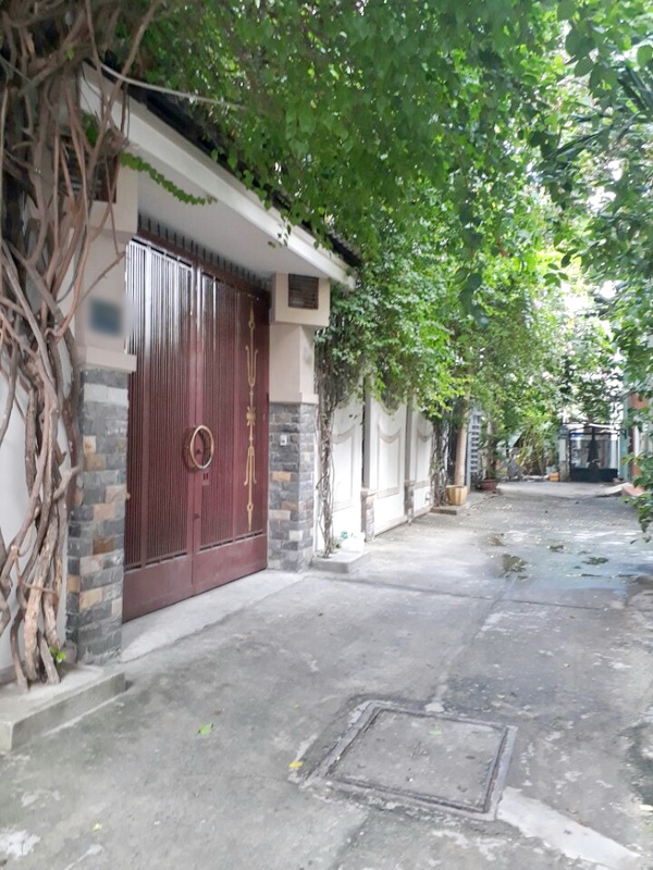 Bán gấp căn biệt thự sân vườn hẻm 60 Lâm Văn Bền, phường Tân Kiểng, quận 7
