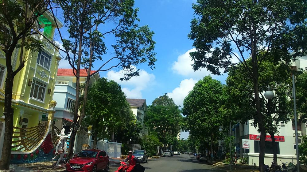 Nhà phố mặt tiền Phạm Thái Bường, Phú Mỹ Hưng, Quận 7 cần bán gấp 7x18m, giá 25 tỷ - LH: 0911857839