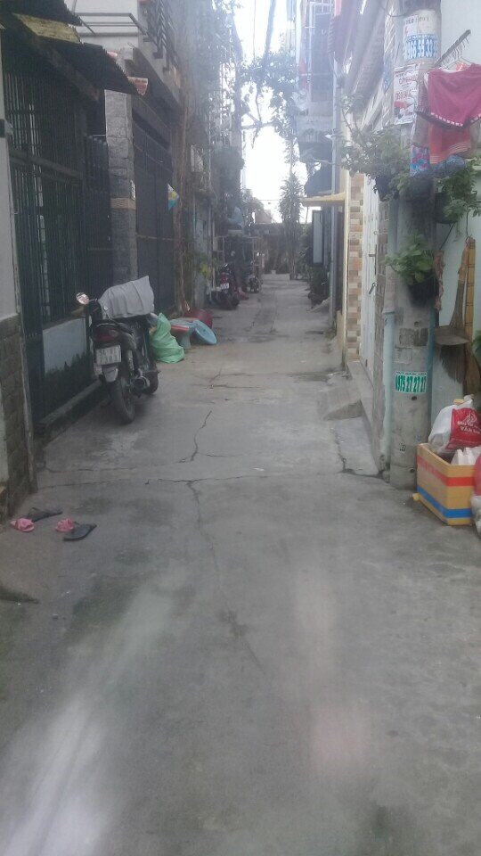 Nhà hẻm 133 Quang Trung, P10, Gò Vấp