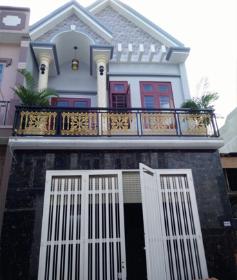 Bán nhà mặt phố tại Đường Đinh Đức Thiện Bình Chánh diện tích 100m2  giá 450 Triệu