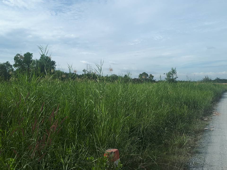 Đất chia lô thổ cư mặt tiền đường Nguyễn Văn Tạo diện tích 8188m2 mặt tiền 17m giá 6tr5/m2