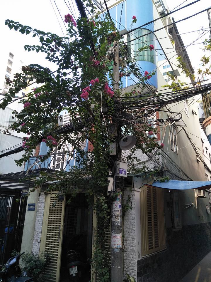 Bán nhà đẹp Bùi Hữu Nghĩa, ngay chợ Bà Chiểu, HXH