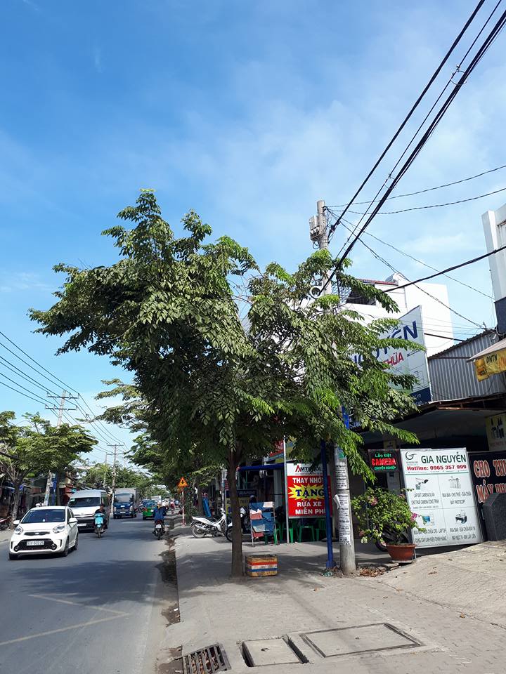 Bán nhà mặt phố tại đường Nguyễn Văn Tạo, Xã Long Thới, Nhà Bè, TP. HCM, diện tích 117m2, giá 6 tỷ