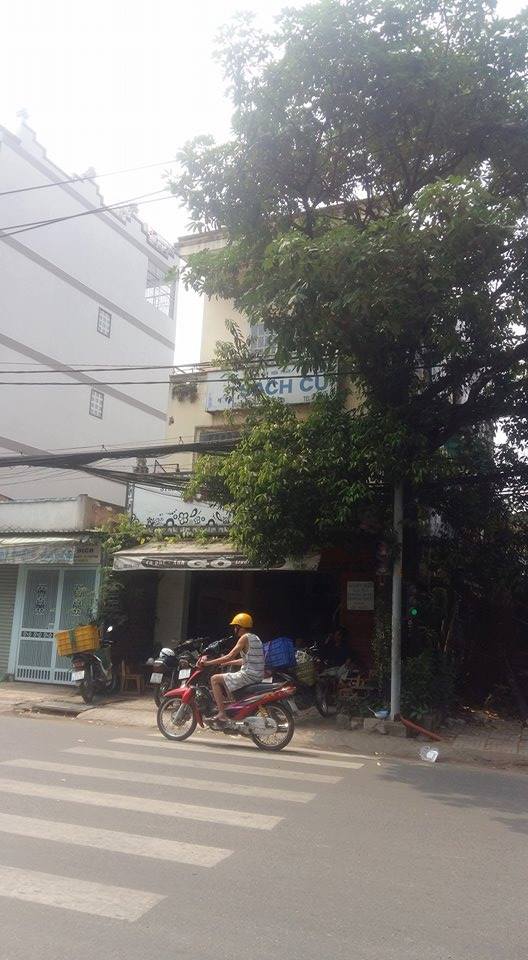 Bán Nhà MTKD Đường Tân Hương, diện tích 6,2x18m, 1 lầu. Giá 12,8 tỷ