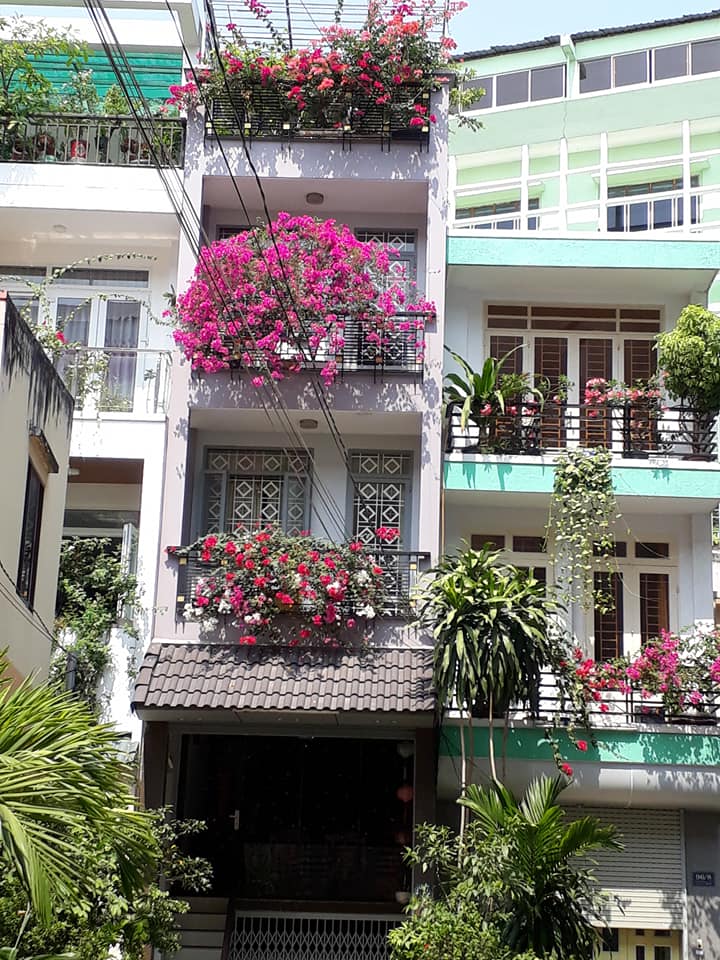 15,5 tỷ sở hữu ngôi biệt thự sân vườn, vị trí vàng Hồ Văn Huê, Phú Nhuận. 450 m2.