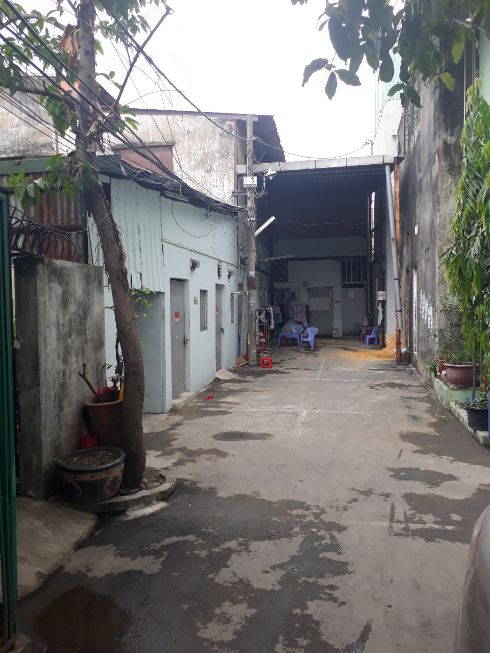 Cần bán gấp nhà cấp 4 đường Phạm Văn Bạch, P15, Tân Bình