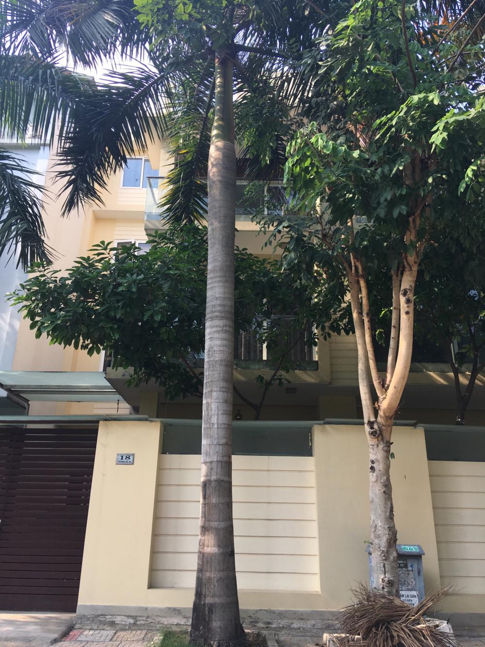Bán nhà nát hướng Bắc mặt tiền đường lớn khu Tân Quy Đông, Quận 7