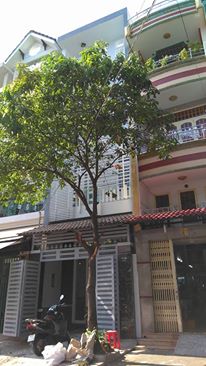 Bán Nhà MTNB Đường Phan Văn Năm, Diện Tích 4,2x16m(Nh 4,5m), 1 lầu.Giá 5,9 tỷ 