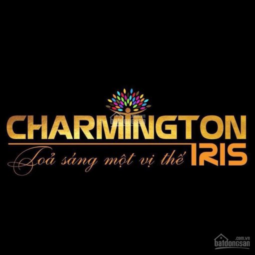 Tỏa sáng một vị thế - Charmington Iris - vị trí siêu đẹp 3 mặt sông Quận 4