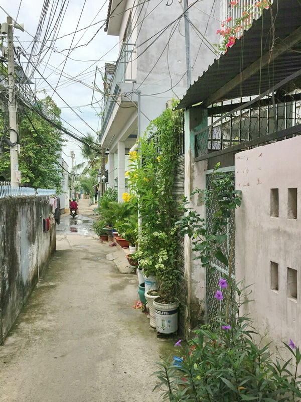 Bán nhà cấp 4, hẻm 115, đường Phạm Hữu Lầu, Phường Phú Mỹ, Quận 7