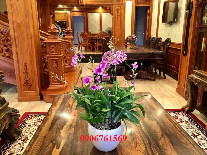 Biệt thự tuyệt đẹp dành cho VIP, P13, Tân Bình, giá 45 tỷ