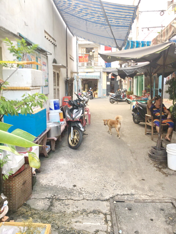 Bán nhà mặt tiền hẻm xe hơi 904 đường Nguyễn Duy, Phường 12, Quận 8
