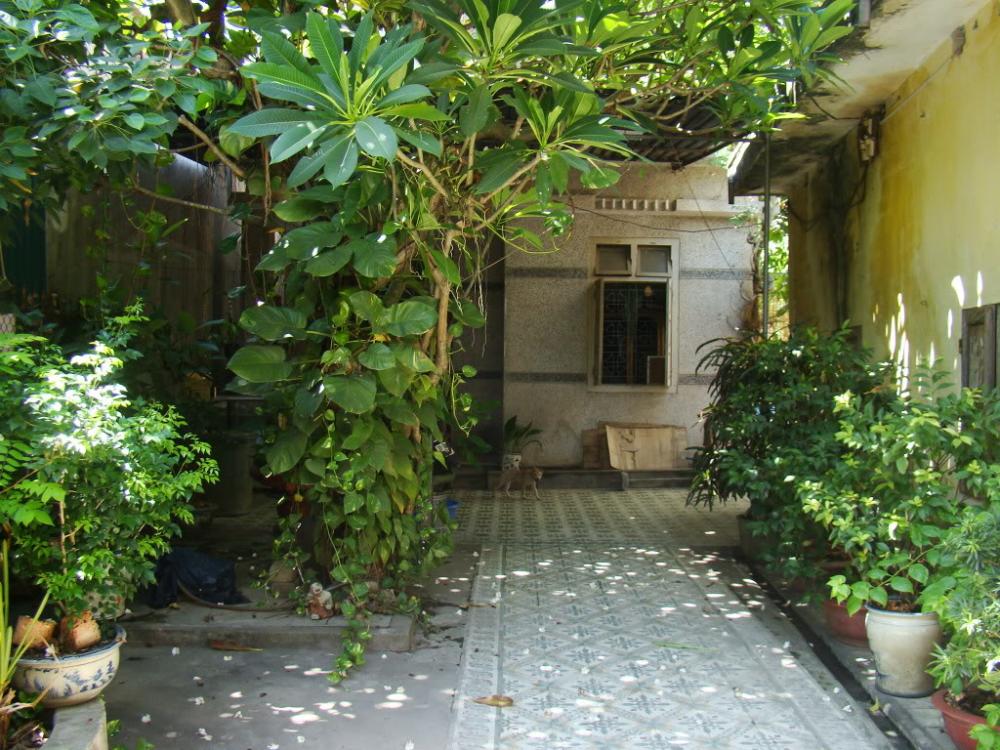 Sang gấp nhà vườn ngay mặt tiền Bùi Thị Điệt, Củ Chi , Sổ Hồng Riêng. LH 01272 889 136
