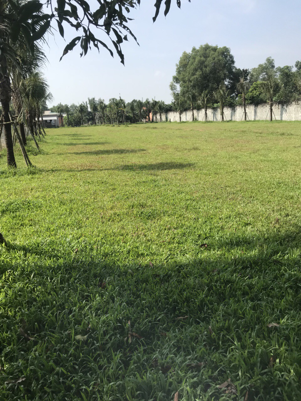 Cần bán lô đất đường Nguyễn Văn Hoài, Cu Chi, SHR, DT 120m2, giá 800tr