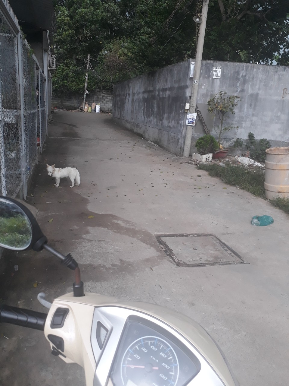 Bán nhà hẻm 25 đường 17, P. Linh Trung, Q. Thủ Đức