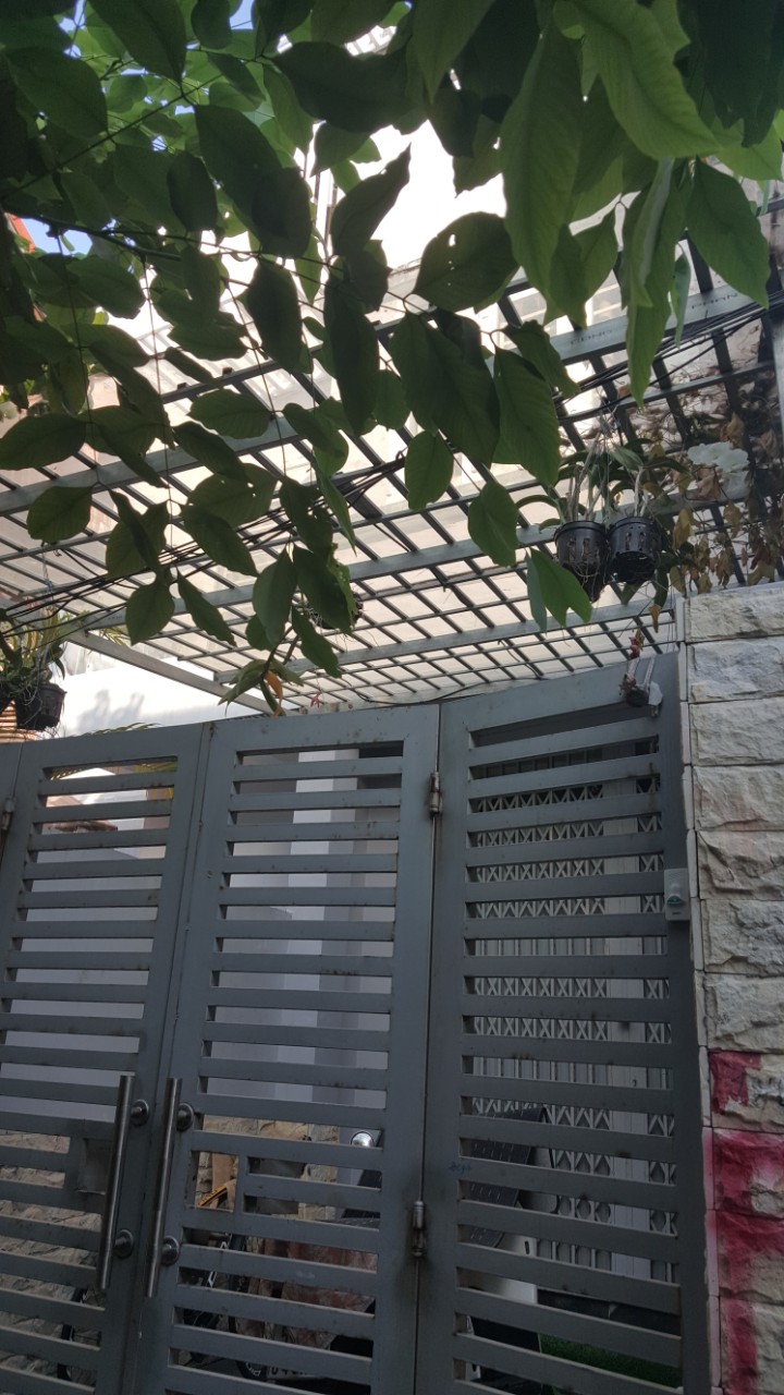 Bán nhà riêng quận 11 hẻm 19 đường Bình Thới, DT 3.1 x 10m, nở hậu 10m, 2 lầu