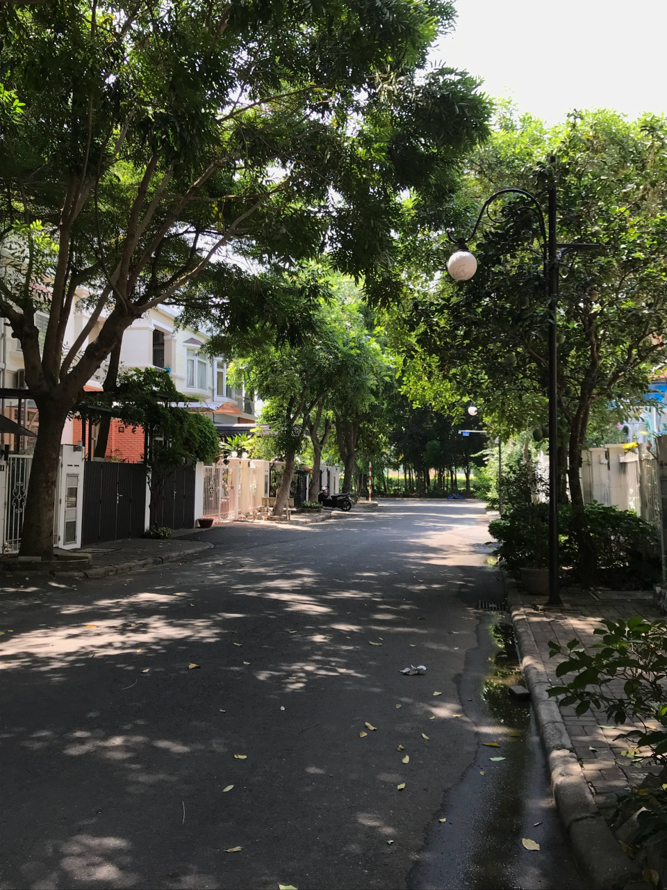 Bán nhà biệt thự phố vườn Mỹ Giang, P. Tân Phong - Q. 7, DT 7*18m, giá 17 tỷ