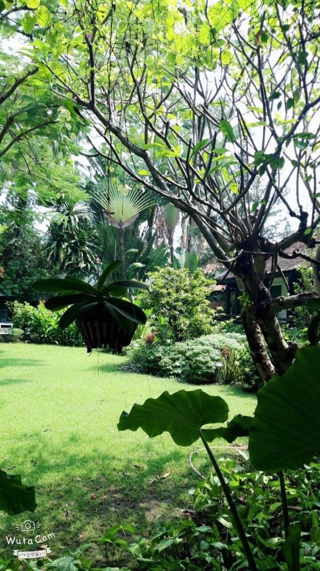 Bán biệt thự vip, số 6, đường Số 6, Trần Ngọc Diện, Thảo Điền, Q2. 290m2, 125 tỷ