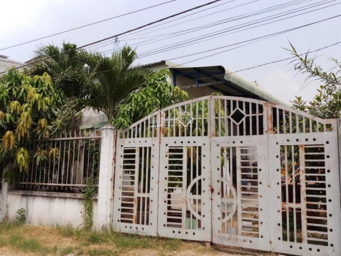 Thiếu vốn cần bán gấp nhà cấp 4 mặt tiền đường Huỳnh Tấn Phát, Nhà Bè.