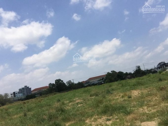 Cần bán 11.000 m2 đất vườn trong khu dân Bùi Thanh Khiết – Bình Chánh