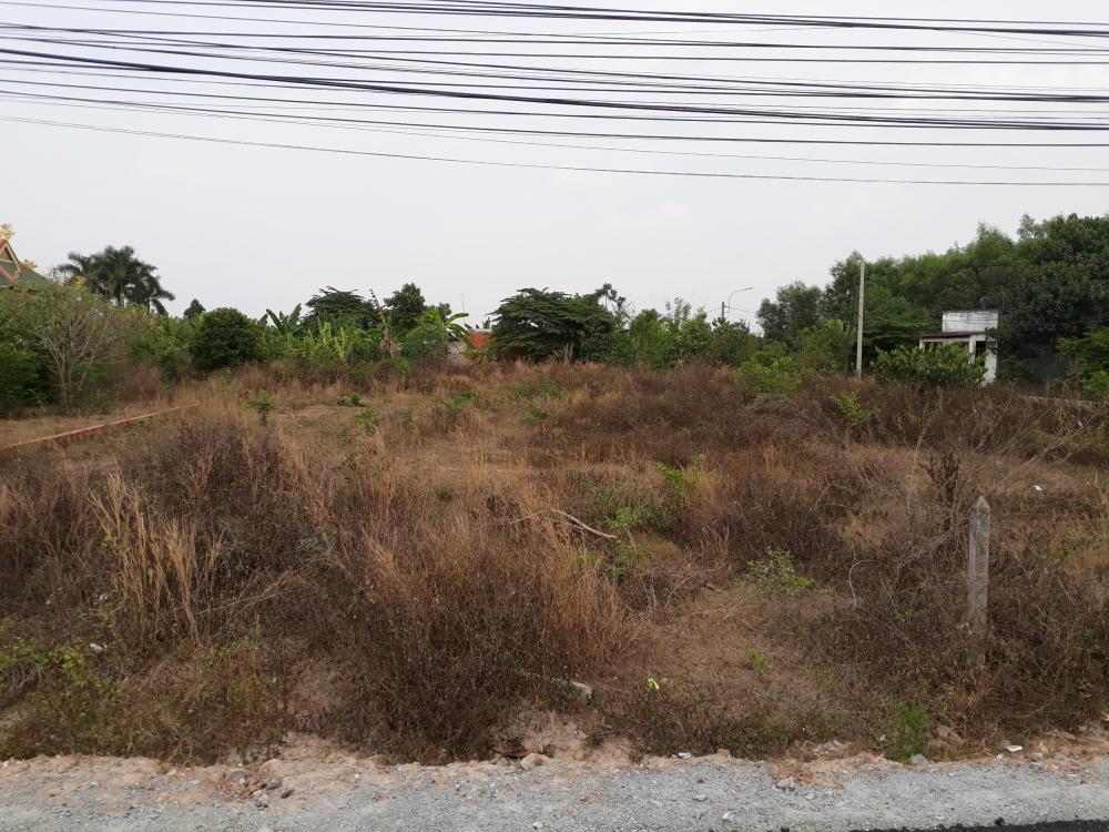 Đất mặt tiền đường Tỉnh lộ 15, xã An Phú, Củ Chi DT 196m2, giá 800 triệu