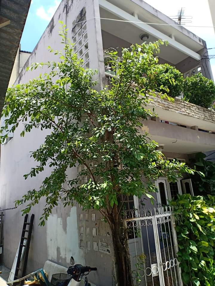 Bán nhà riêng tại Đường Nơ Trang Long, Phường 12, Bình Thạnh, Tp.HCM diện tích 40m2  giá 4.3 Tỷ
