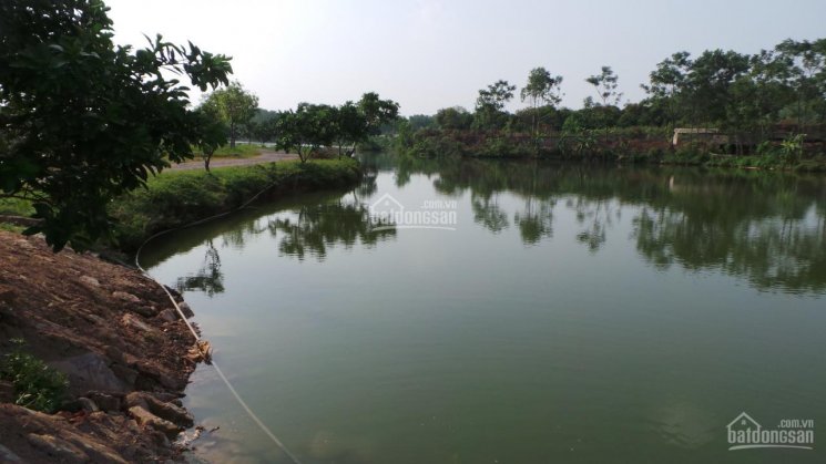 Dự án view hồ duy nhất tại Hòa Lạc-Sơn Tây. golden lake