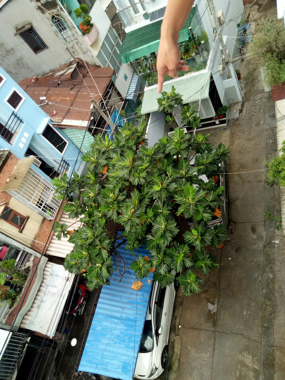 Bán nhà siêu đẹp MT đường 3/2, nhà 5 lầu thang máy, góc Hàn Hải Nguyên.