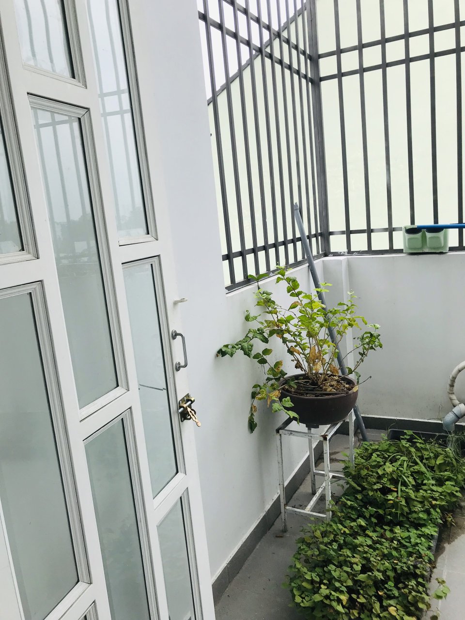 Nhà 1 trệt 2 Lầu, HXH, Đường Ụ Ghe, Phường Tam Phú, Quận Thủ Đức