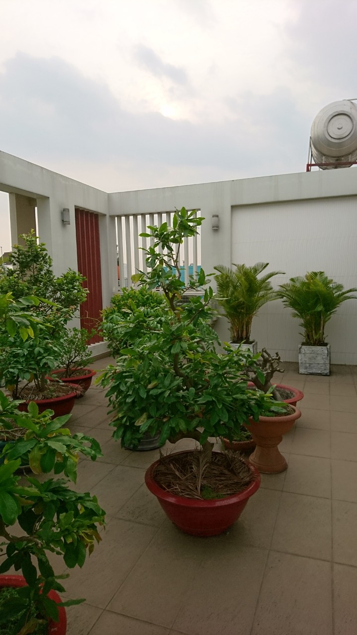 Bán nhà Hẻm 5m Nguyễn Văn Cừ P.2 Q.5,DT: 4 x 16m , 3 lầu ST Giá cực tốt