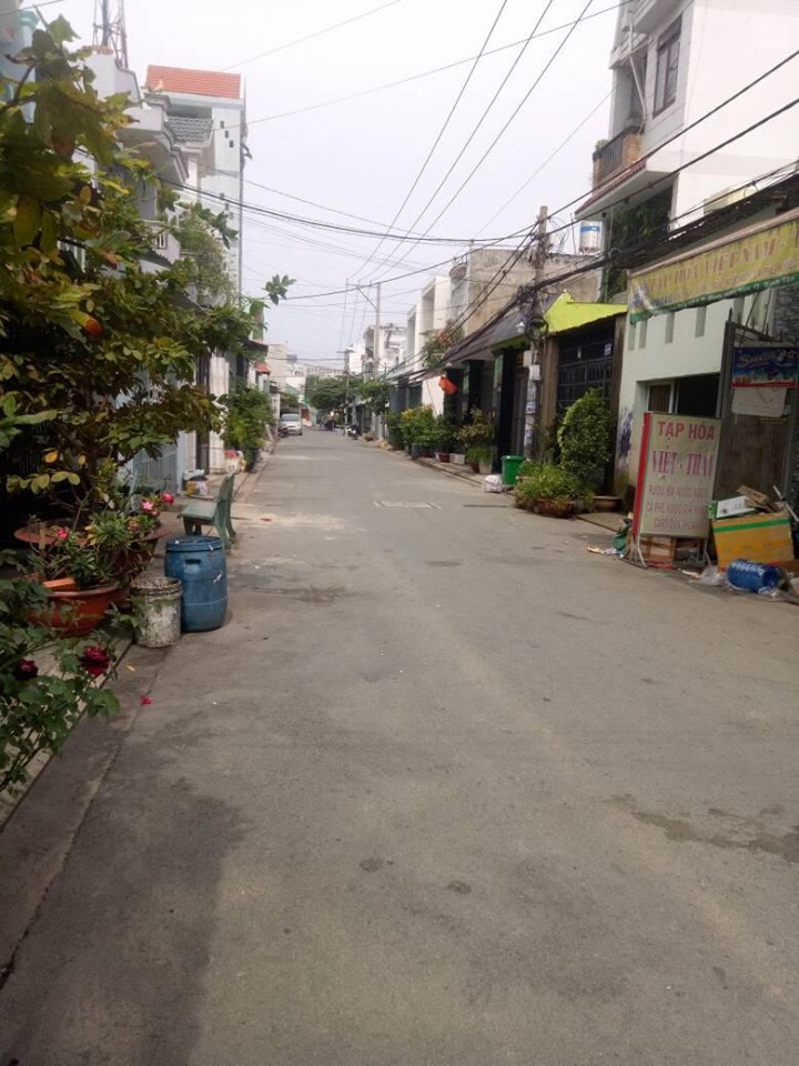 Hạ giá bán gấp 117 đường số 6, BHH, gần AEON Tân Phú, 4x20m, giá 4.2 tỷ