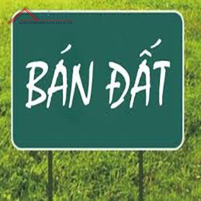 chính chủ bán đất mặt tiền đường Thanh Hoá - Phường Hòa Xuân - Quận Cẩm Lệ - Đà Nẵng