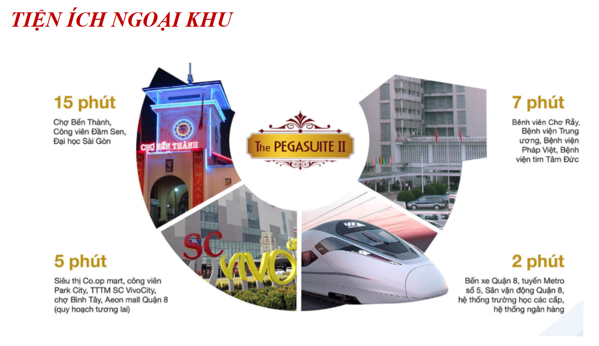 Mở bán dự án The Pegasuite 2, địa chỉ 1079 Tạ Quang Bửu, phường 6, quận 8, tp HCM