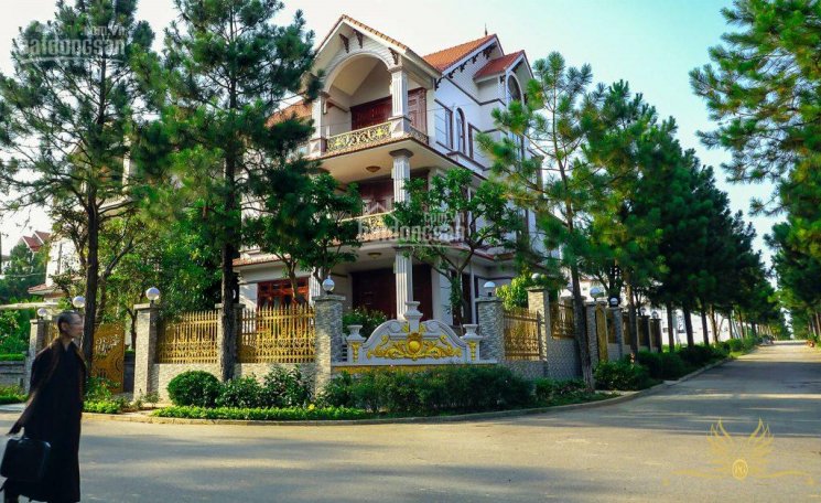 Chính chủ bán nền đất liền kề Aeon Bình Tân đường Số 7, Trần Văn Giàu, khu đô thị Tân Tạo