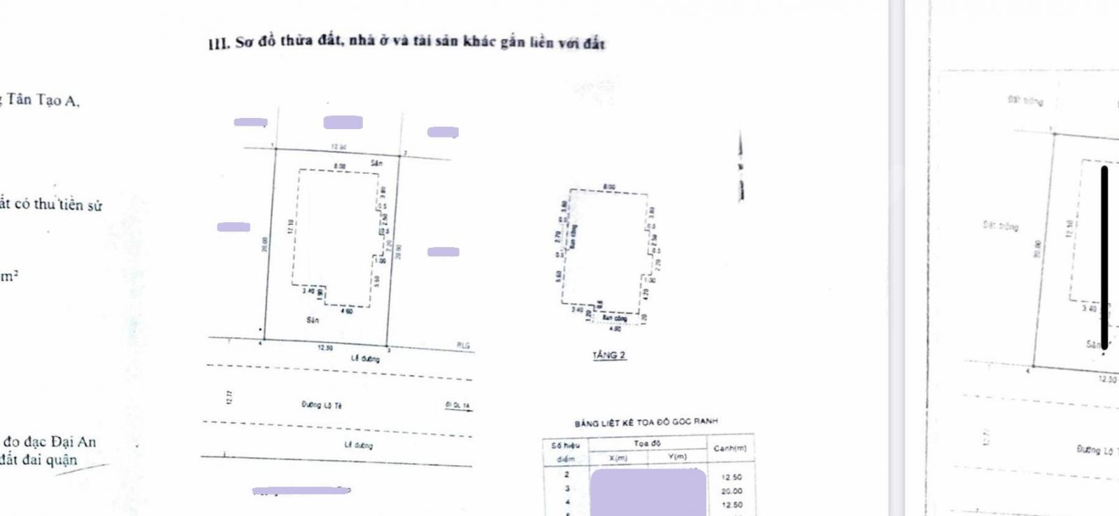 Biệt Thự 250m2, Khu dân cư Bắc Lương Bèo đường Lộ Tẻ, Tân Tạo A, Bình Tân