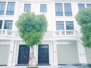 Chính chủ cần bán hai căn hộ liền kề Vinhomes Star City Thanh Hoá