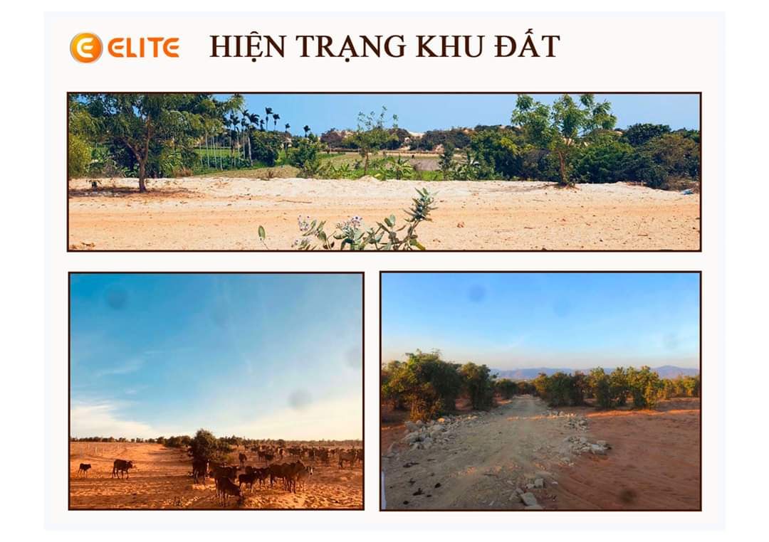Đất nông nghiệp công nghệ cao Bắc Bình – Bình Thuận