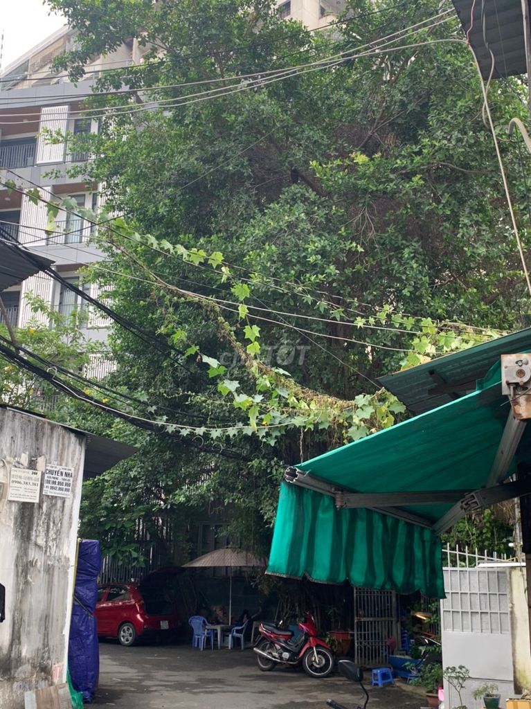Chính chủ cho thuê nhà số 85/36, Đường Phạm Viết Chánh, Phường 19, Quận Bình Thạnh, Tp Hồ Chí Minh